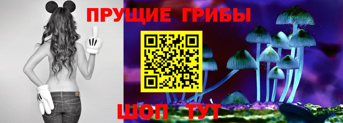 Псилоцибиновые грибы Cubensis  Вход с VPN  Богданович 